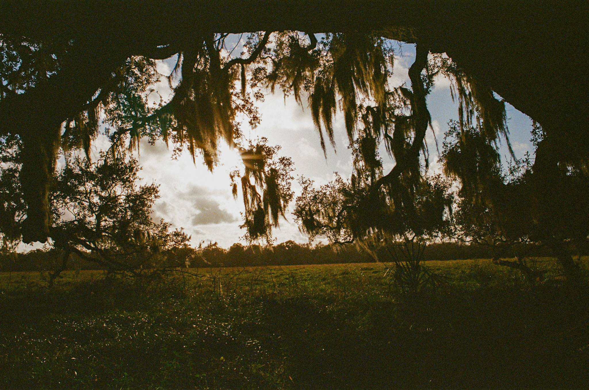 Photograph by Owen Correll