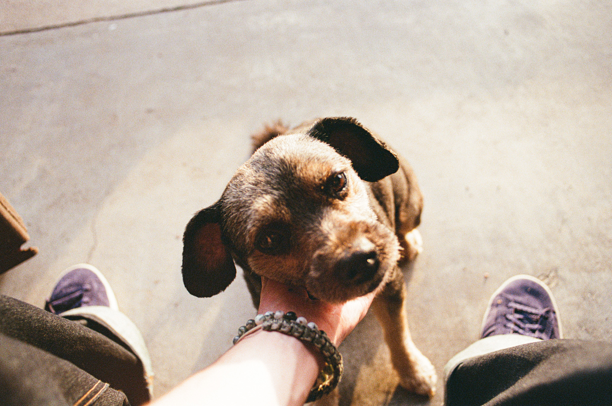 Photograph by Owen Correll