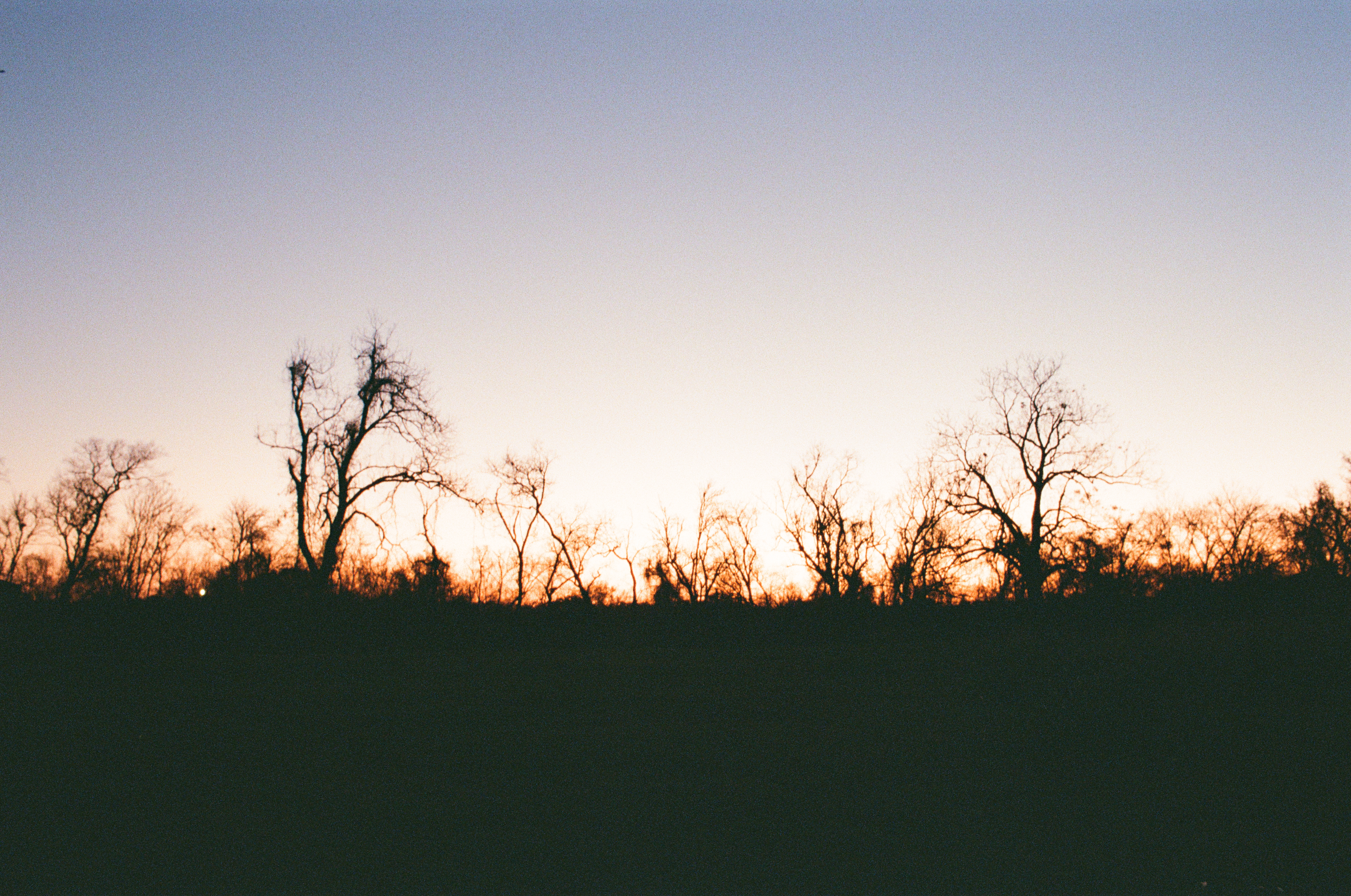 Photograph by Owen Correll