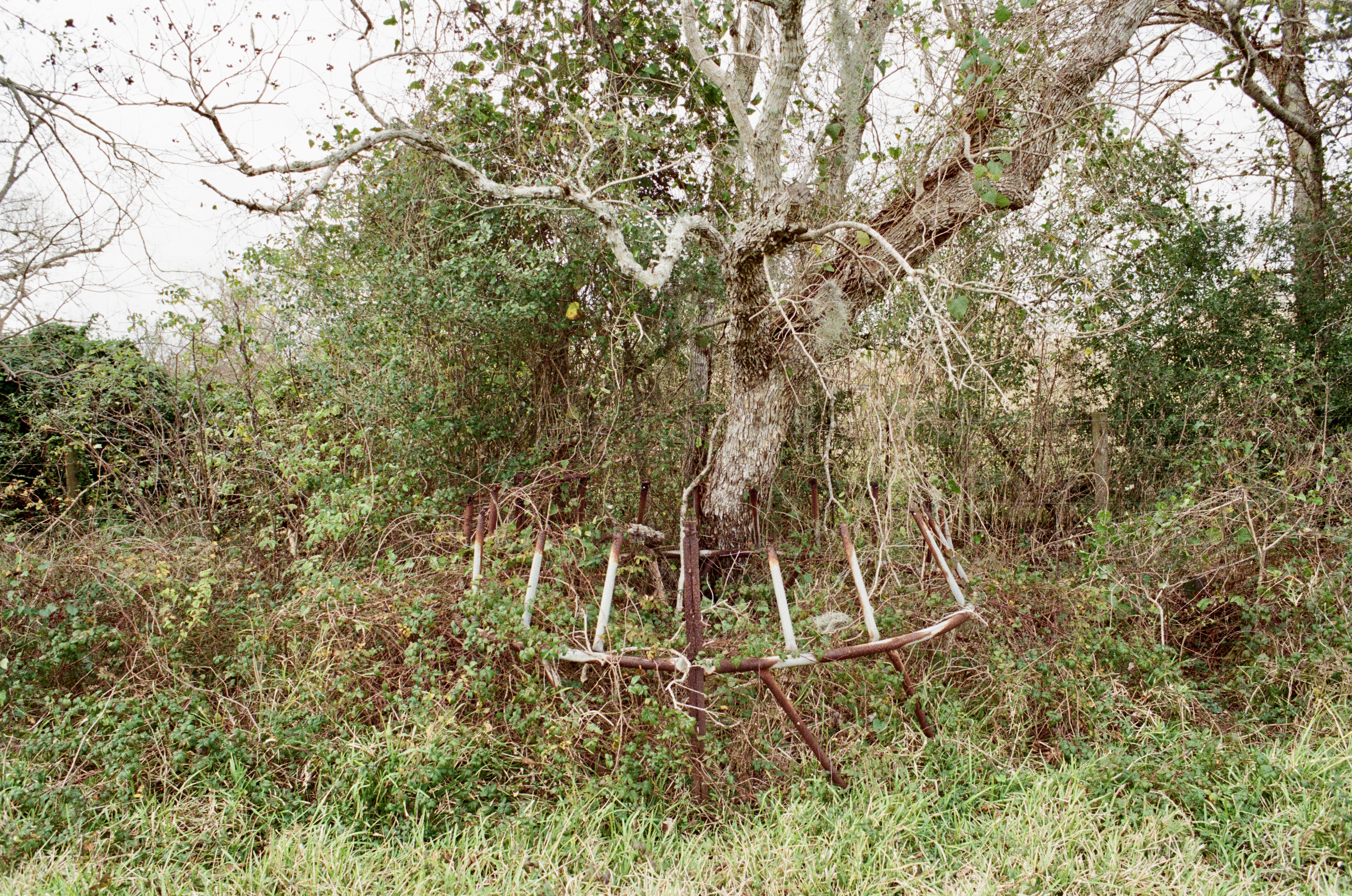 Photograph by Owen Correll