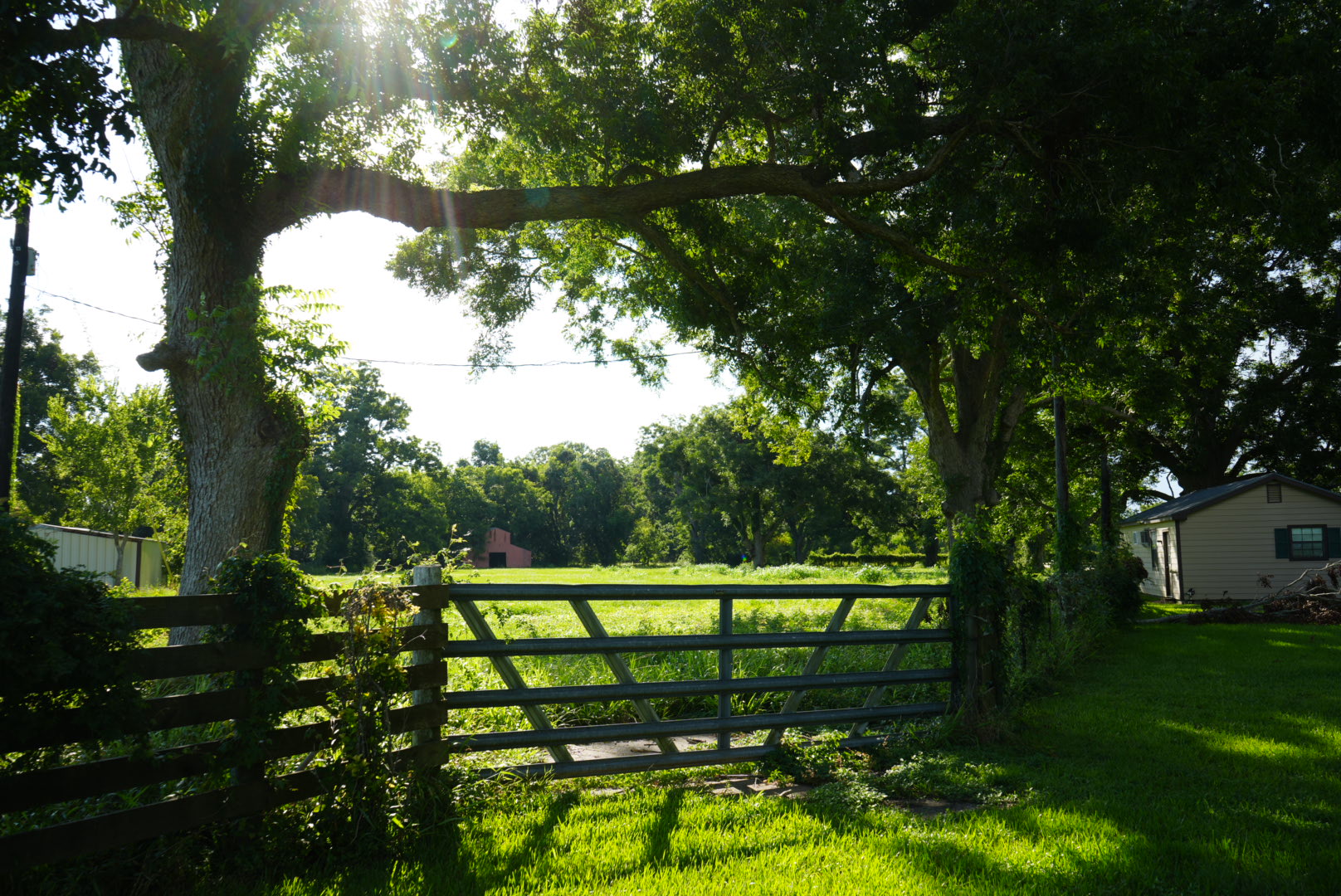 Photograph by Owen Correll