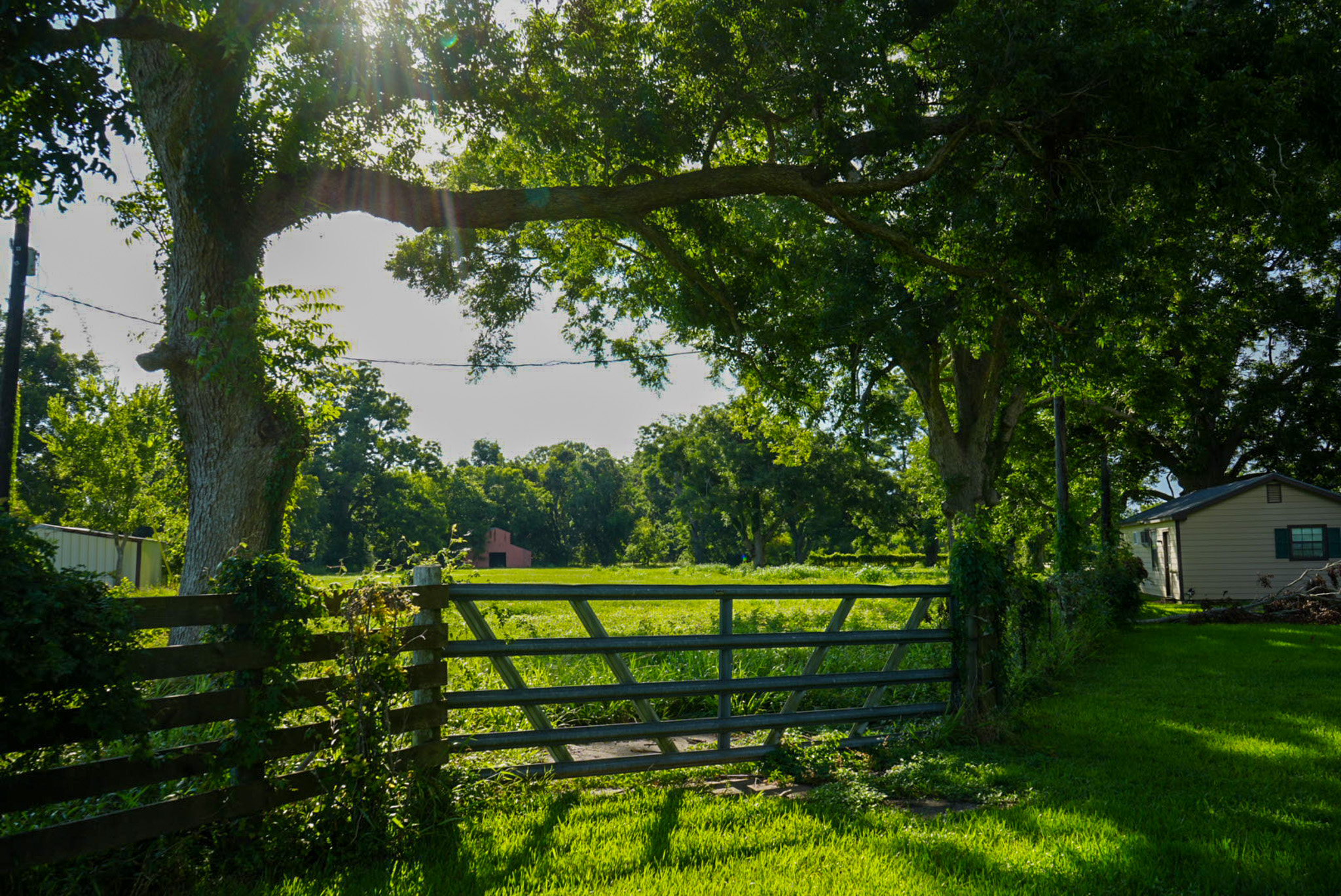 Photograph by Owen Correll