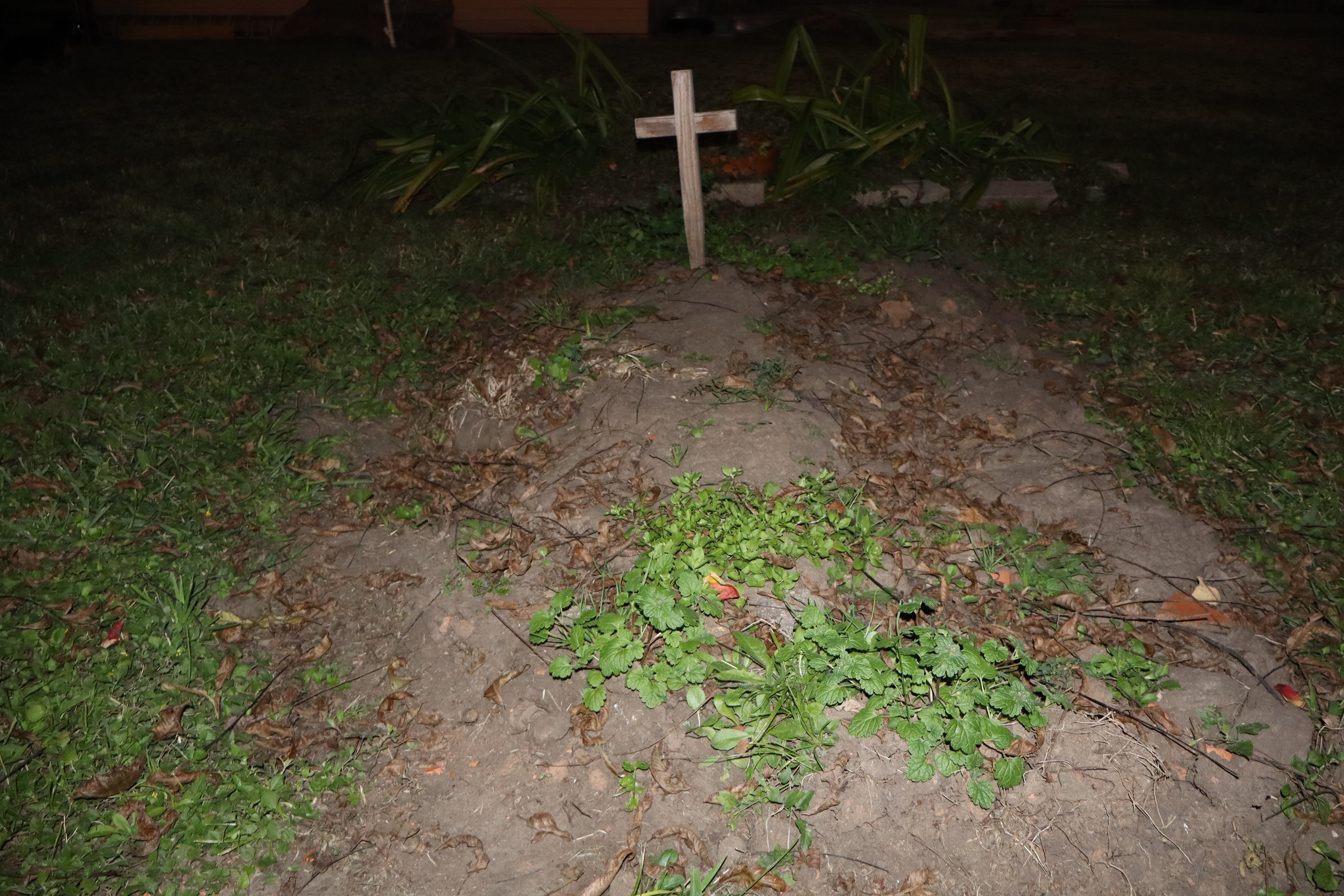 Photograph by Owen Correll