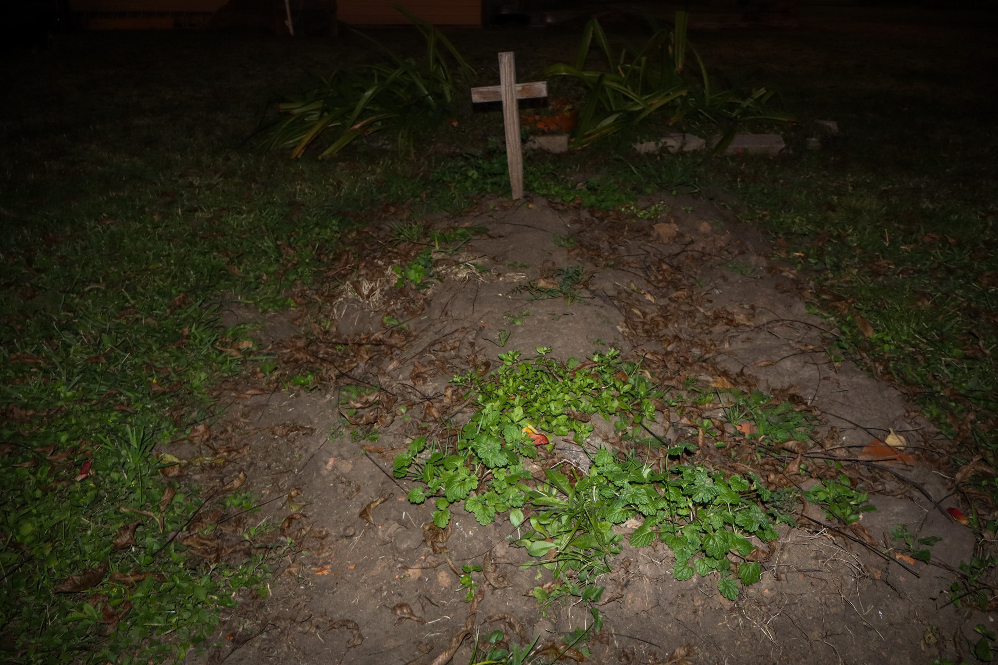 Photograph by Owen Correll