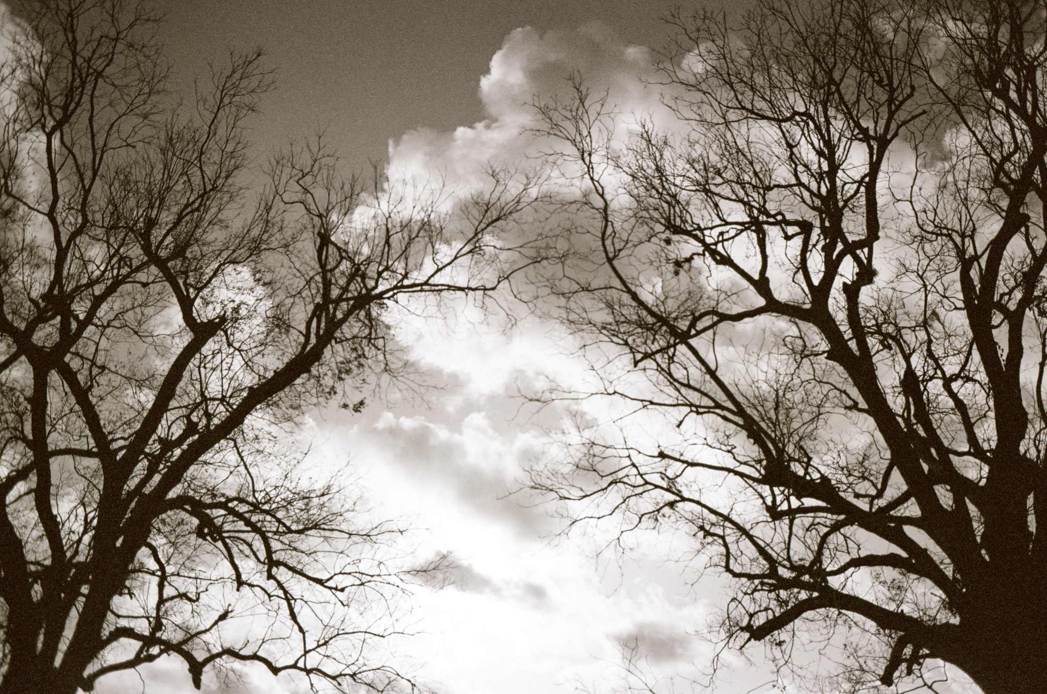 Photograph by Owen Correll