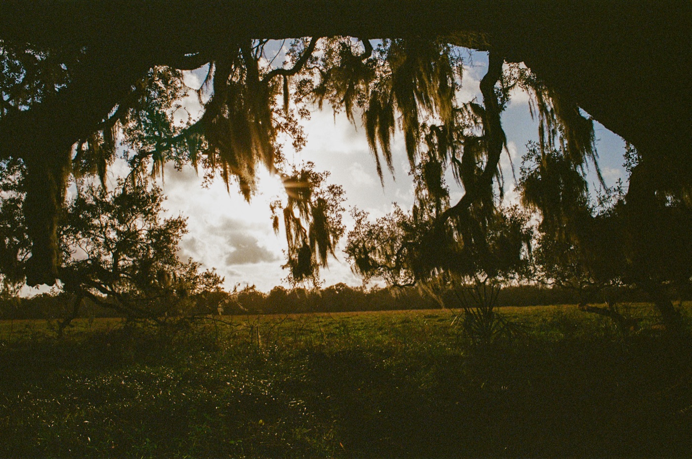 Photograph by Owen Correll