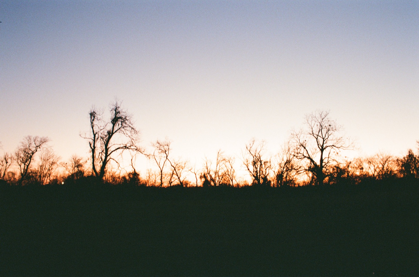 Photograph by Owen Correll