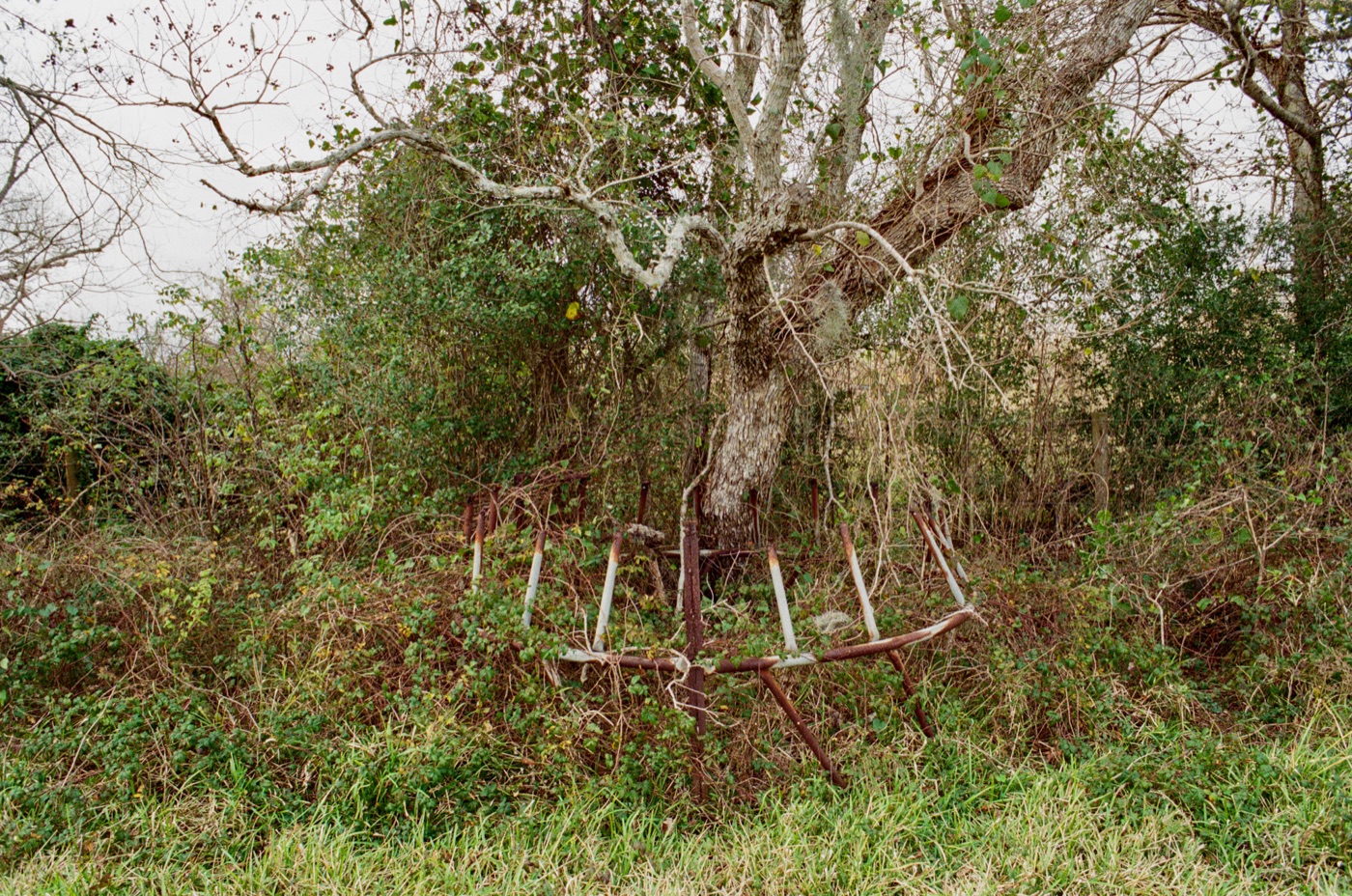 Photograph by Owen Correll